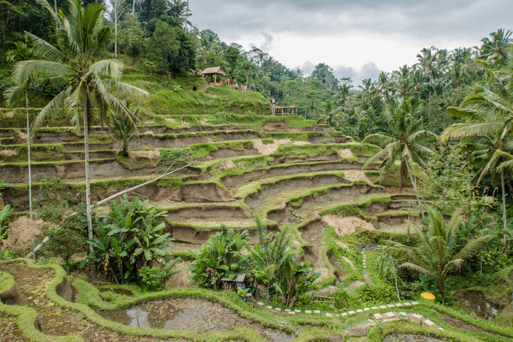 Dreaming Of Villa / Resort Holidays In Bali? 💭